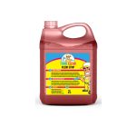 Floor Stripper Ammonia 2LT